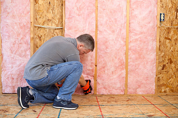 Best Insulation Installation Services in Batavia, NY